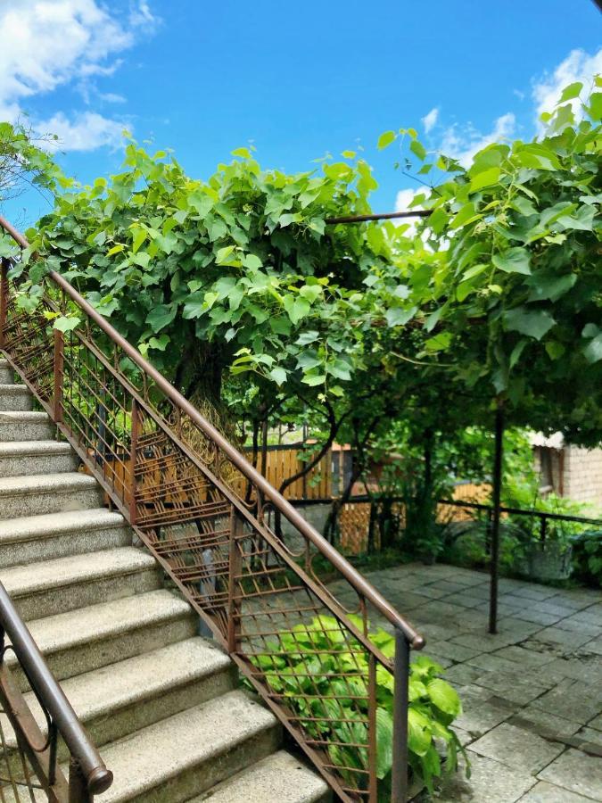 Achela'S Guesthouse بورجومي المظهر الخارجي الصورة