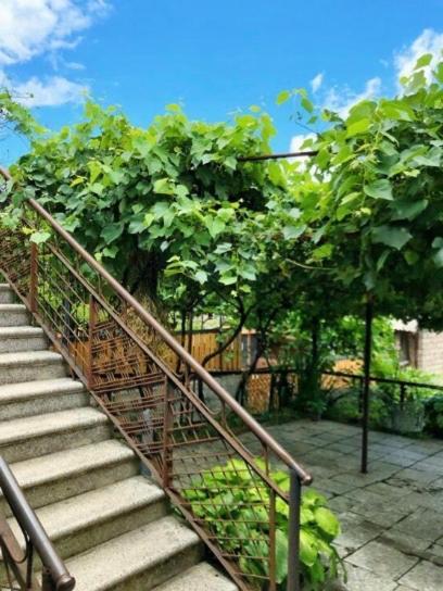 Achela'S Guesthouse بورجومي المظهر الخارجي الصورة