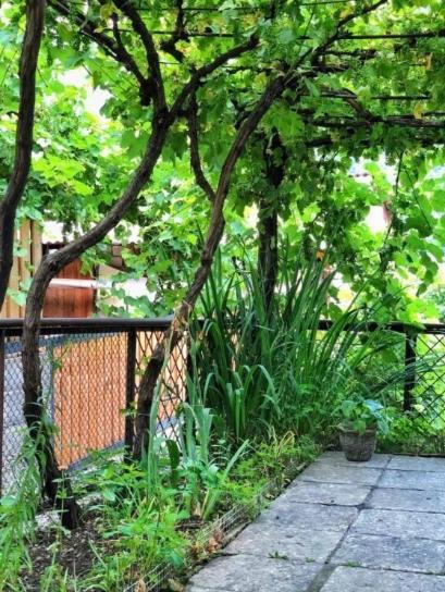 Achela'S Guesthouse بورجومي المظهر الخارجي الصورة